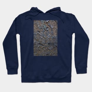 Burnt papers on soil Hoodie